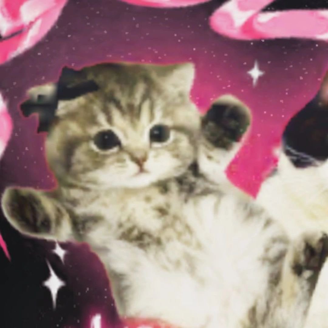 camie ✧ tweet media