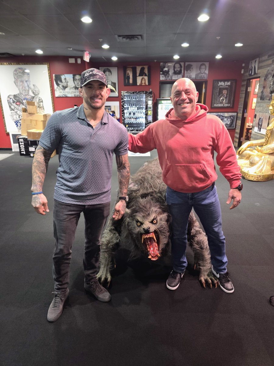 The Diamond tweet media