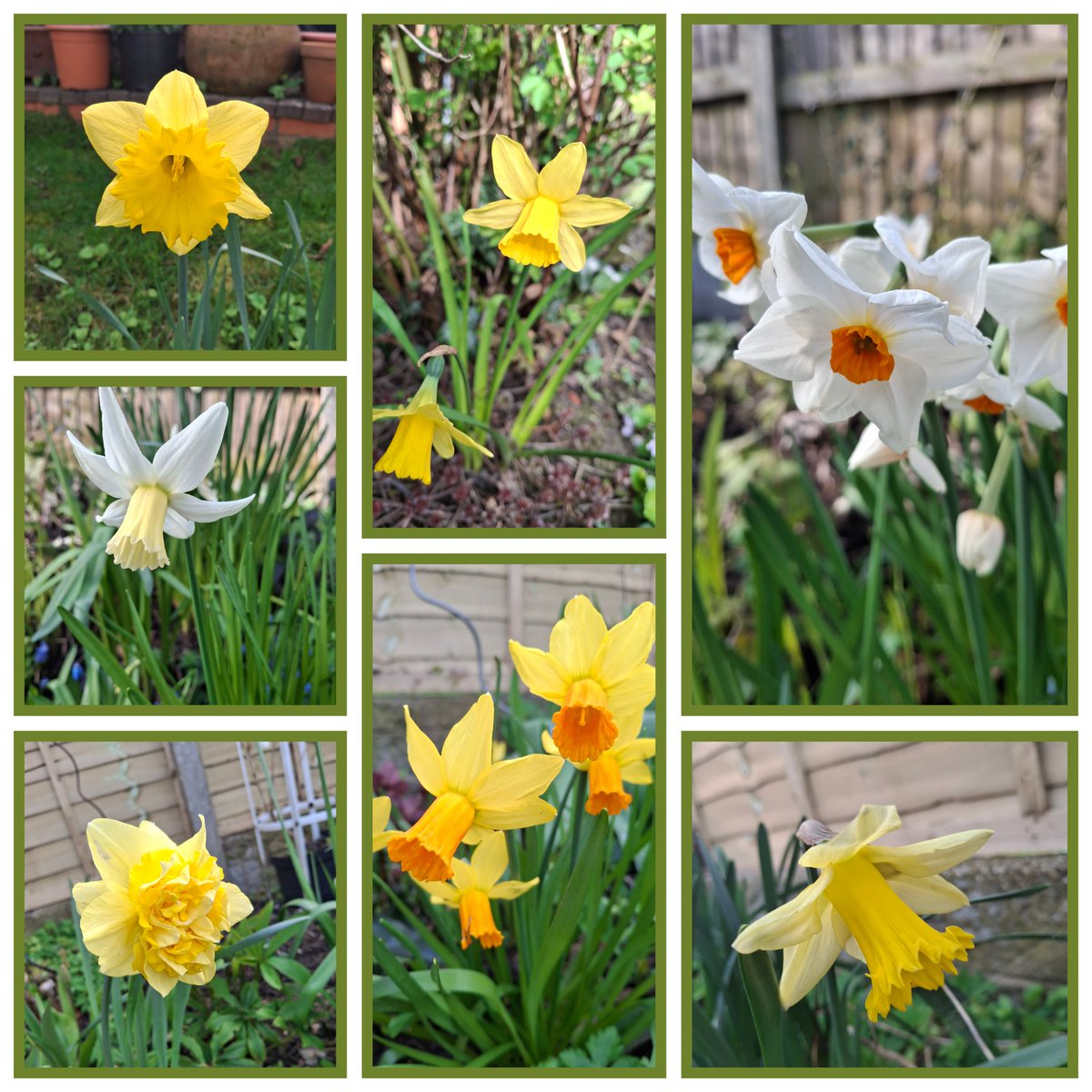 Clare Foster tweet media