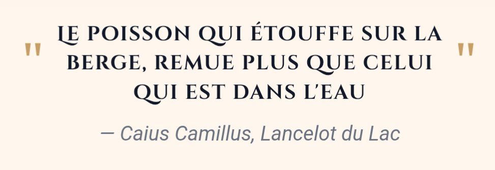 Emmanuel Rannaud 🌹 tweet media