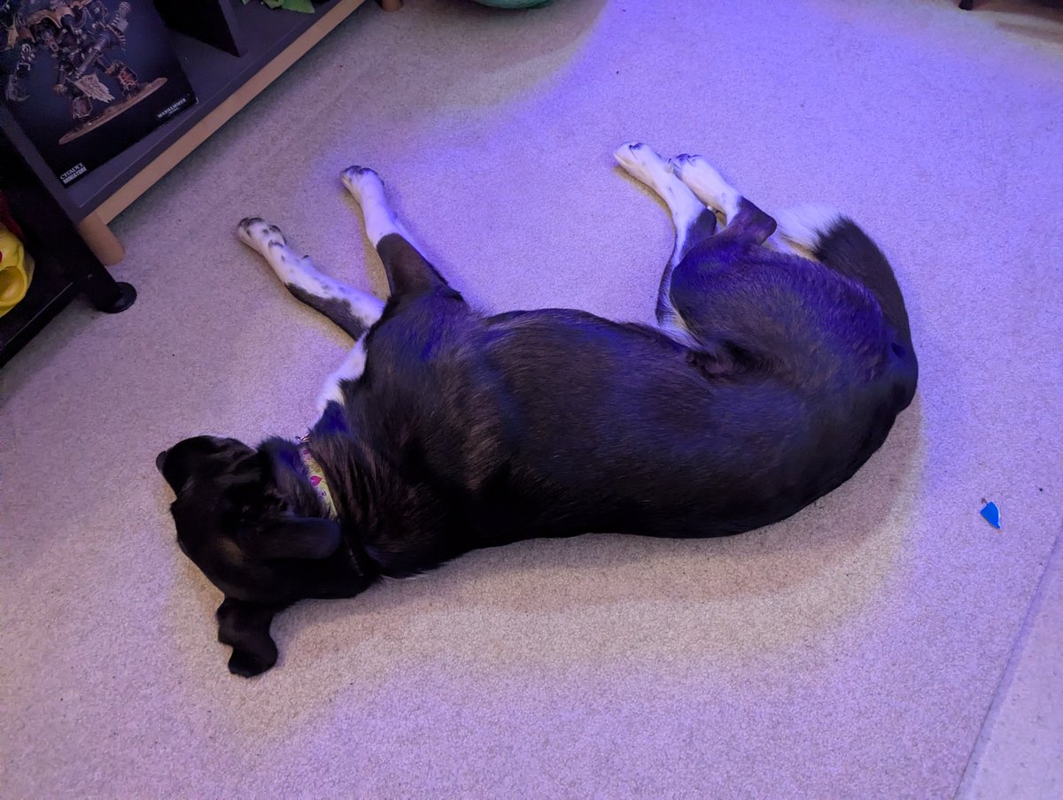 camillapanda ➡️ PAX East tweet media