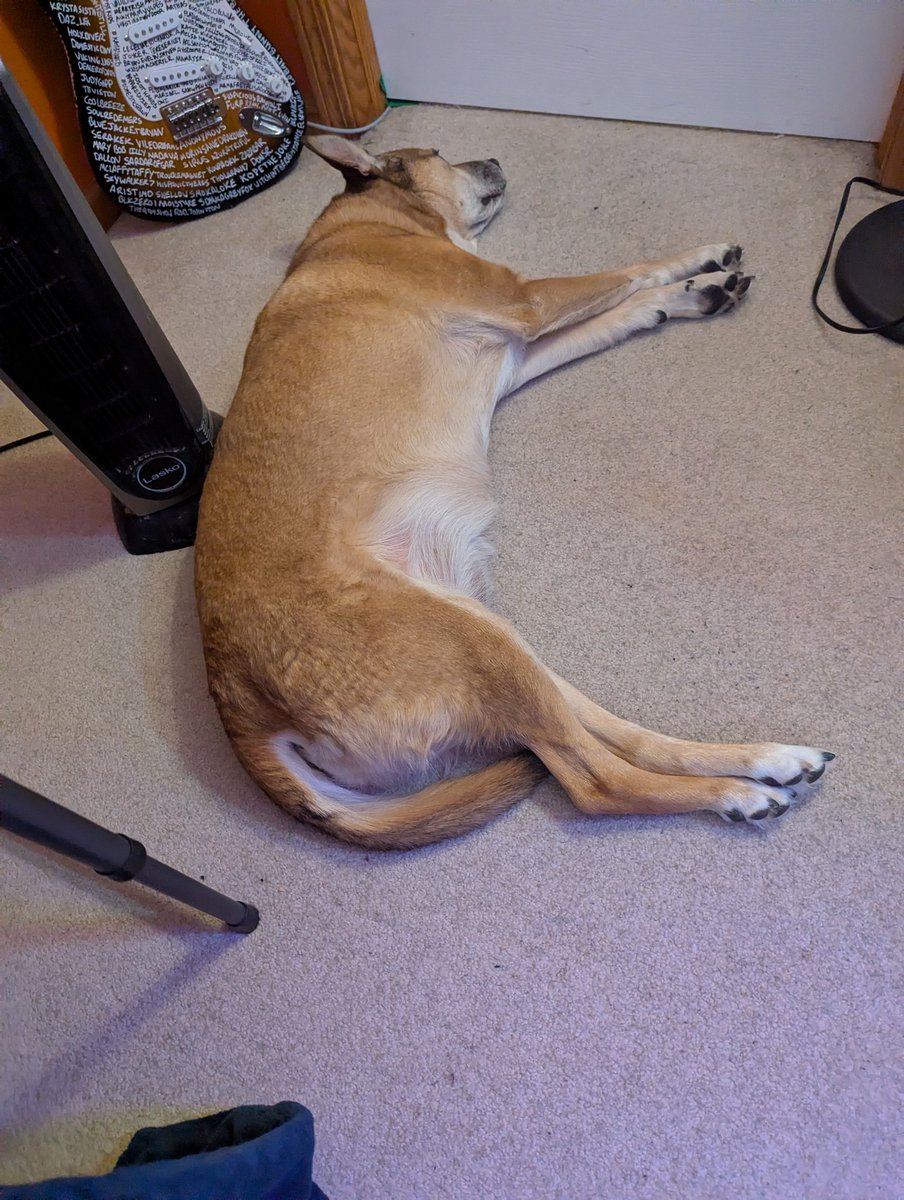 camillapanda ➡️ PAX East tweet media