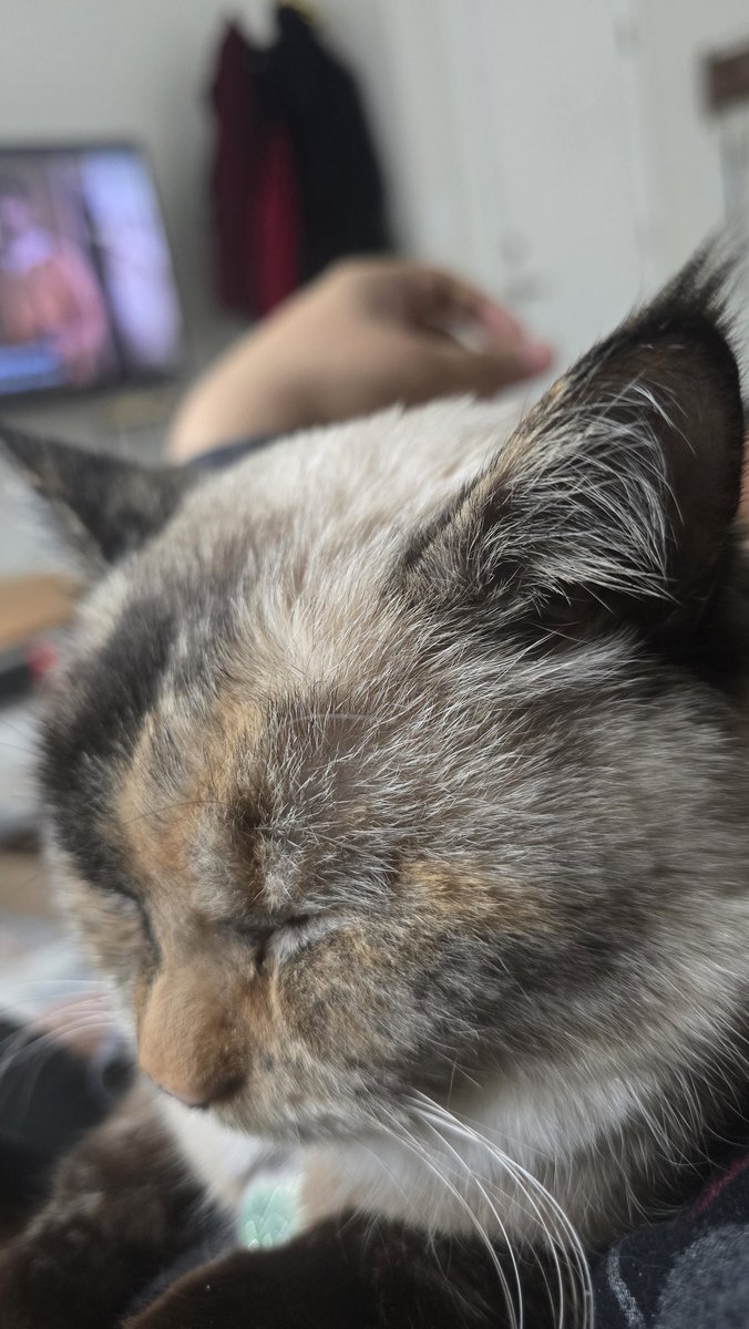 Hallowed Autistic ☦️🎷📚 tweet media