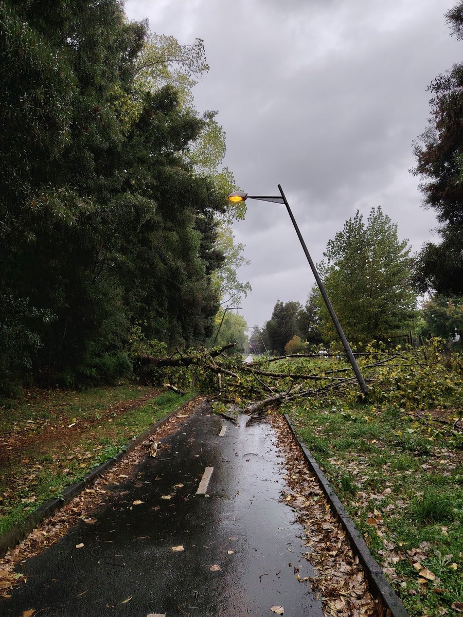🚧 🛑 ciclovía temuco sector altos del maipo 2
