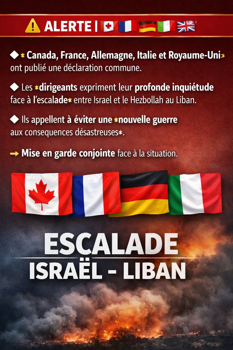 Infotact tweet media