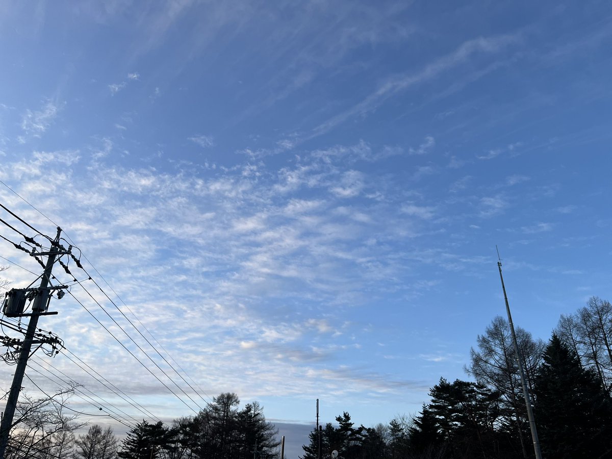 清々しく爽やかな軽井沢です

良い1日をお過ごし下さい