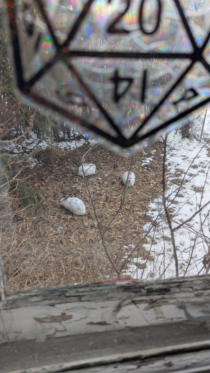 Hans Wackershauser 🎙🇨🇦 tweet media