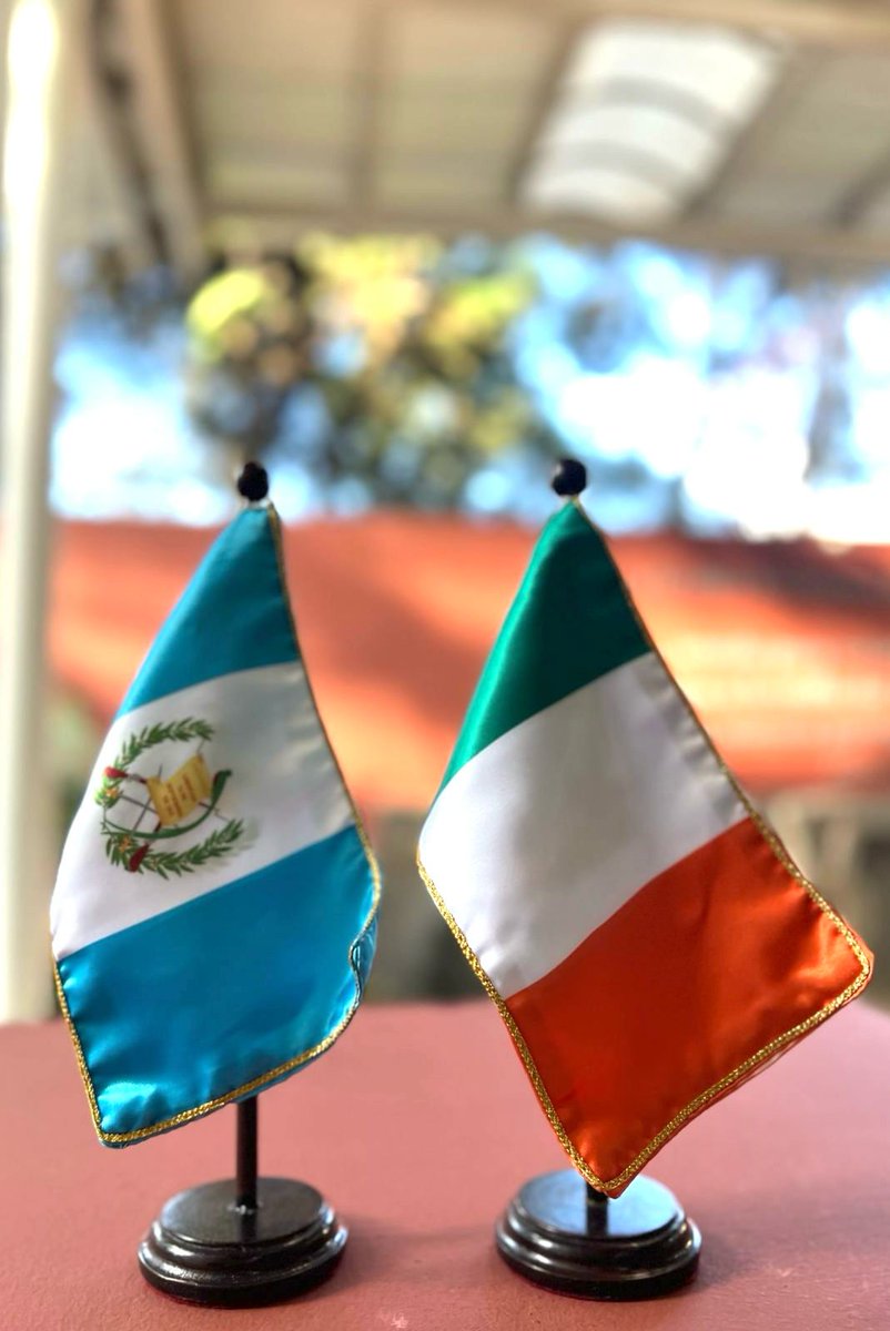 MINEX Guatemala 🇬🇹 tweet media