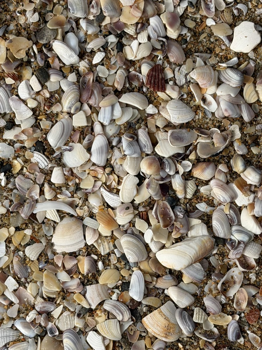 ImASurferDude tweet media