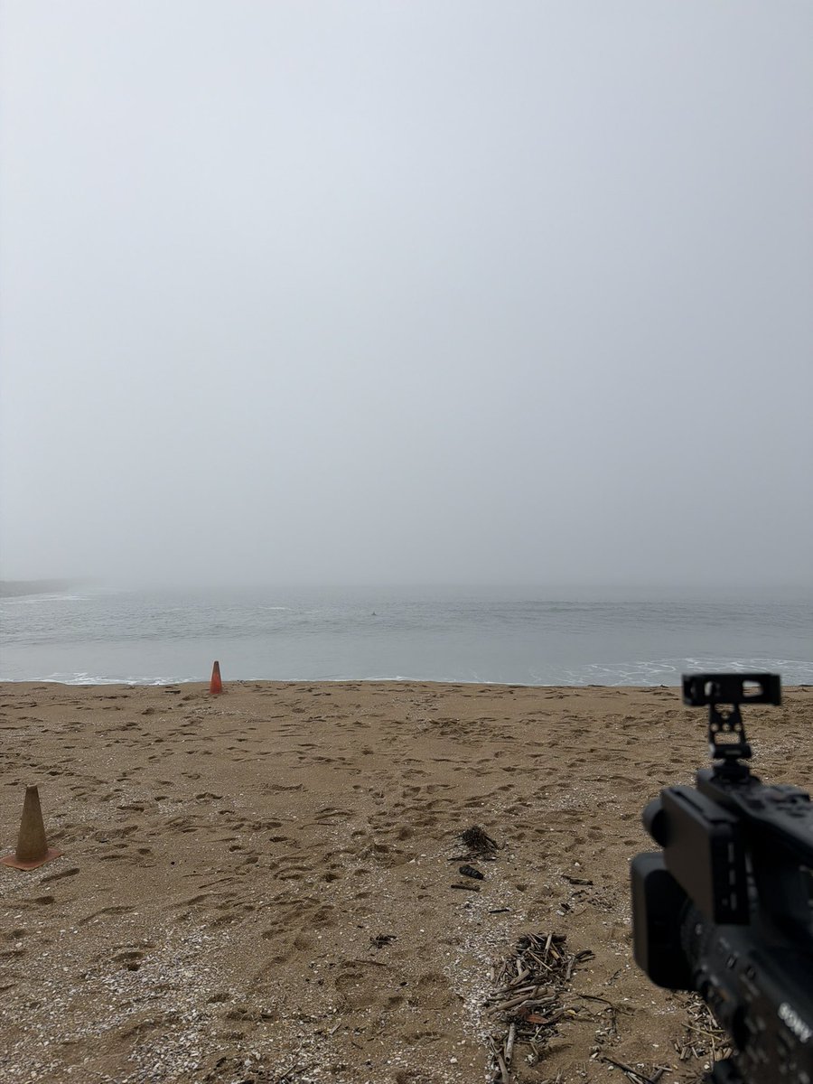 ImASurferDude tweet media