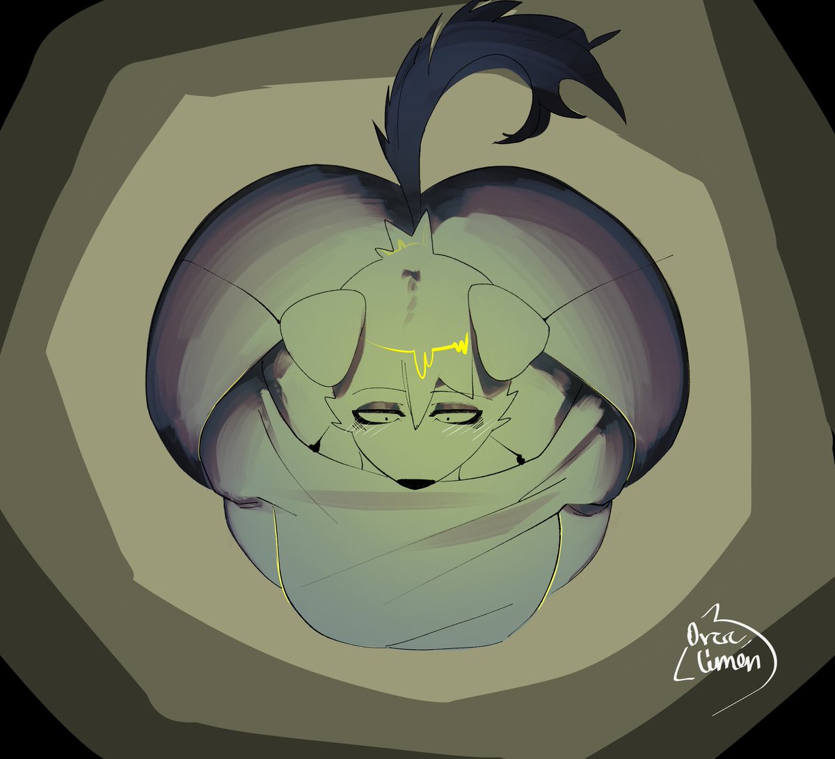 Orca Limón Comms Open tweet media