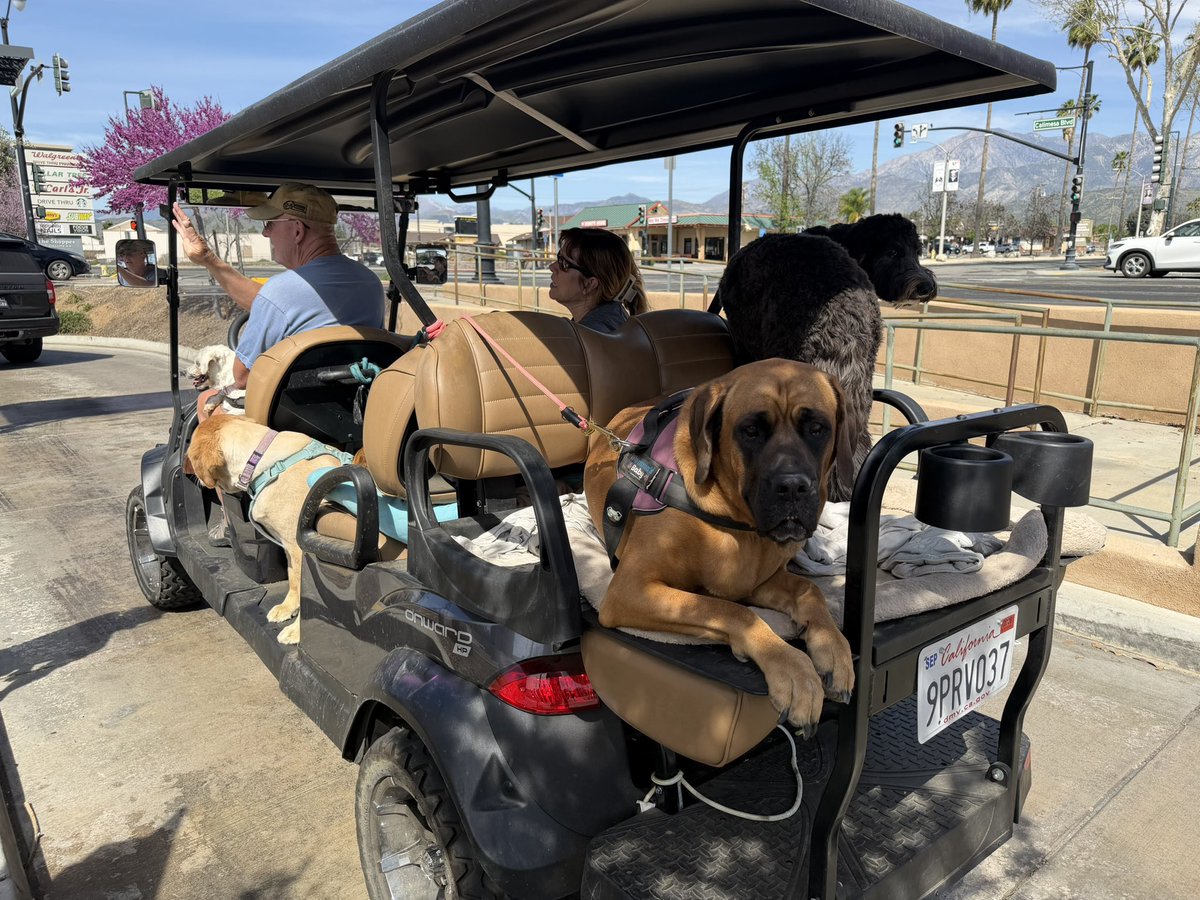 FirePhotoGirl tweet media