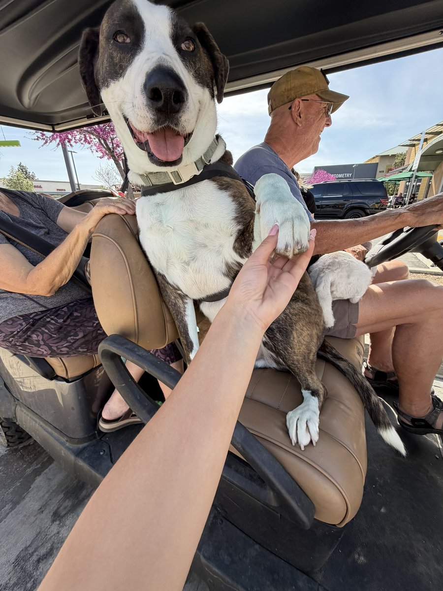 FirePhotoGirl tweet media