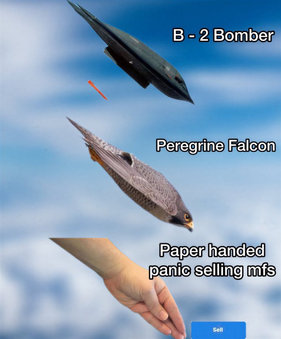 urbnstocks tweet media