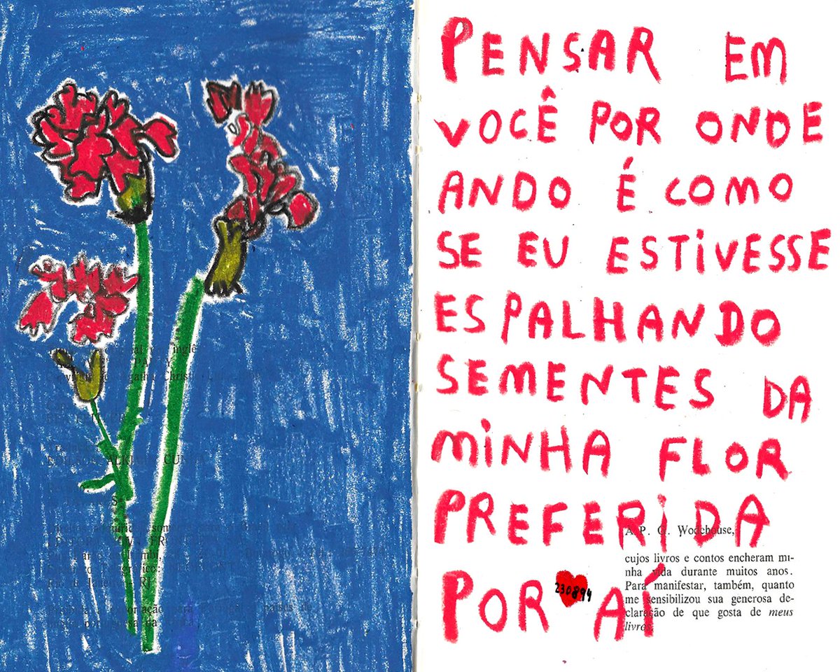 carolzão tweet media