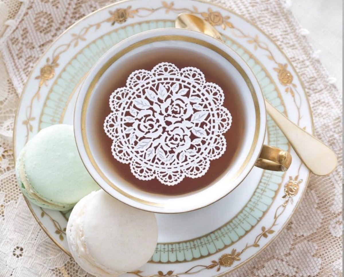 ⋆˖⁺‧₊☽ Arsenic In Shell ☾₊‧⁺˖⋆ tweet media