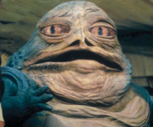 Coobalt 🟢| TivikWatch tweet media