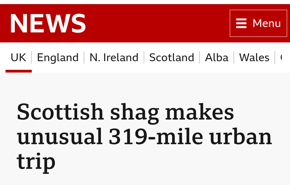 kid presentable tweet media