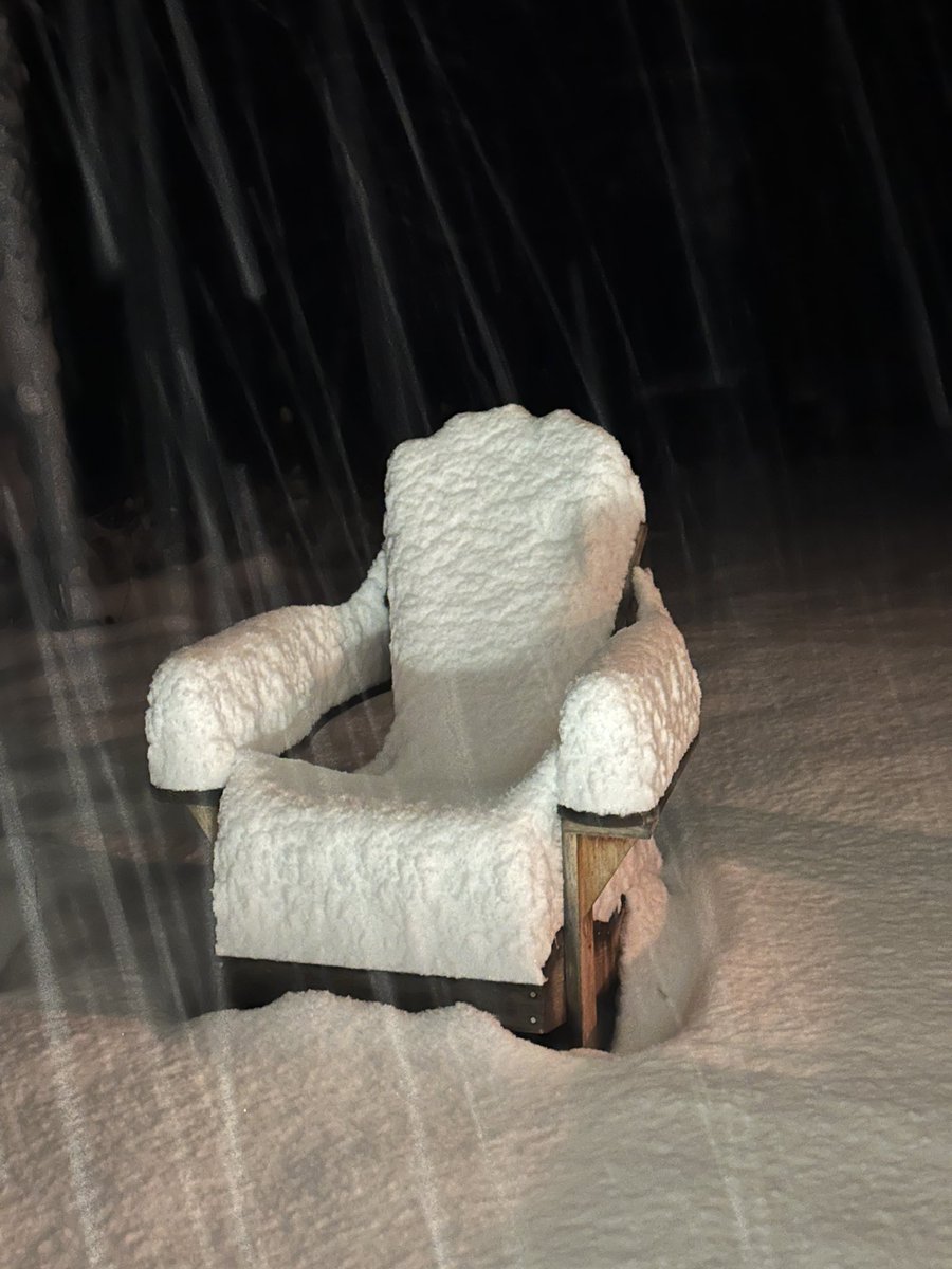 Kerry K. Taylor tweet media