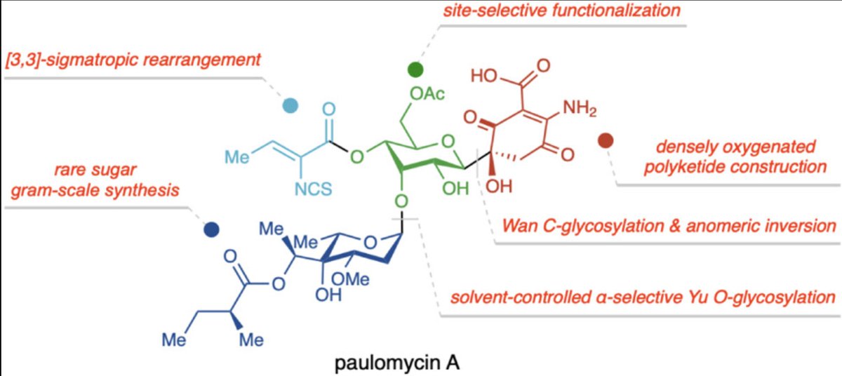 Total Synthesis tweet media