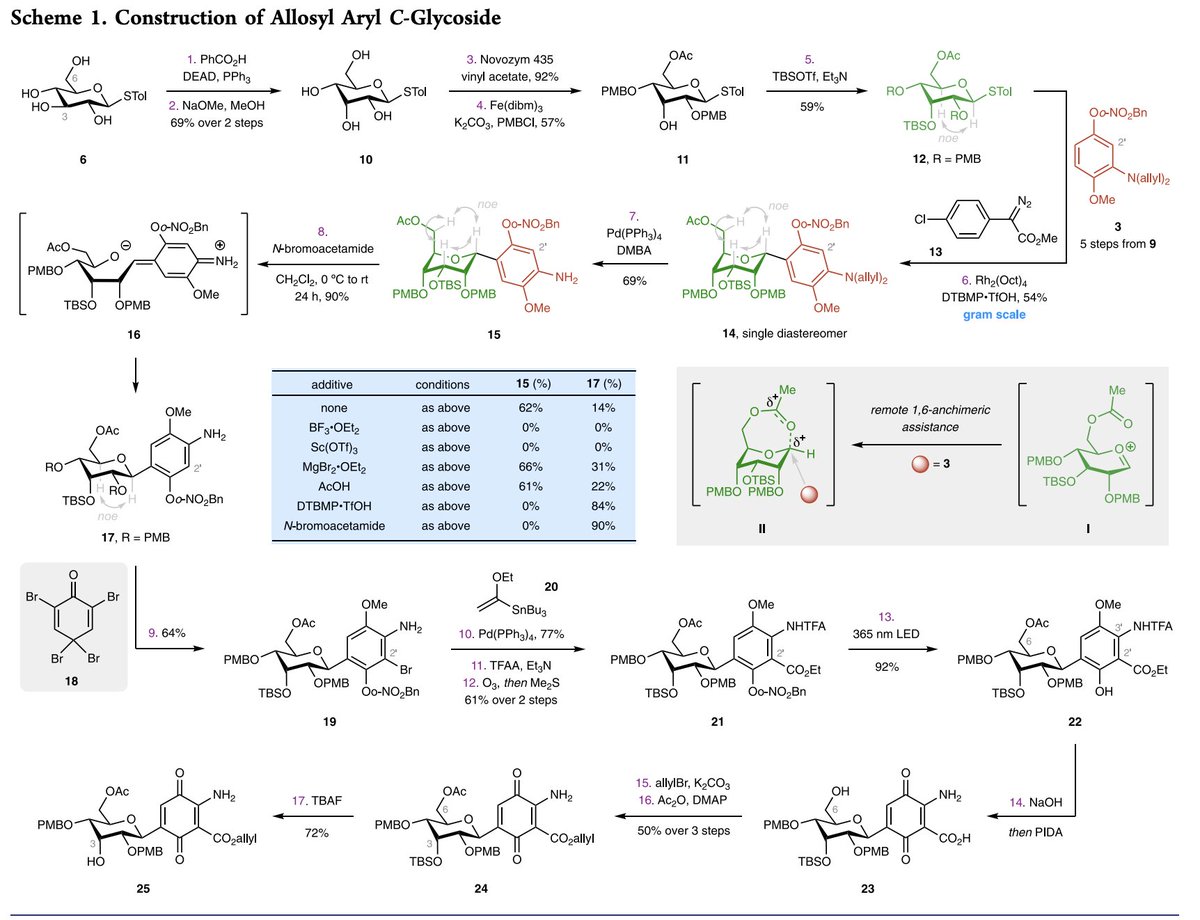 Total Synthesis tweet media