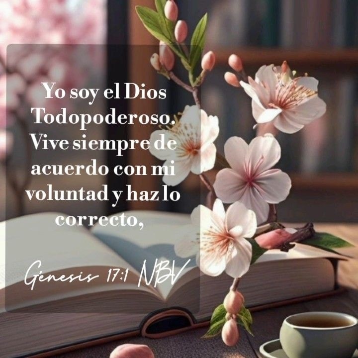 Loren Castillo tweet media