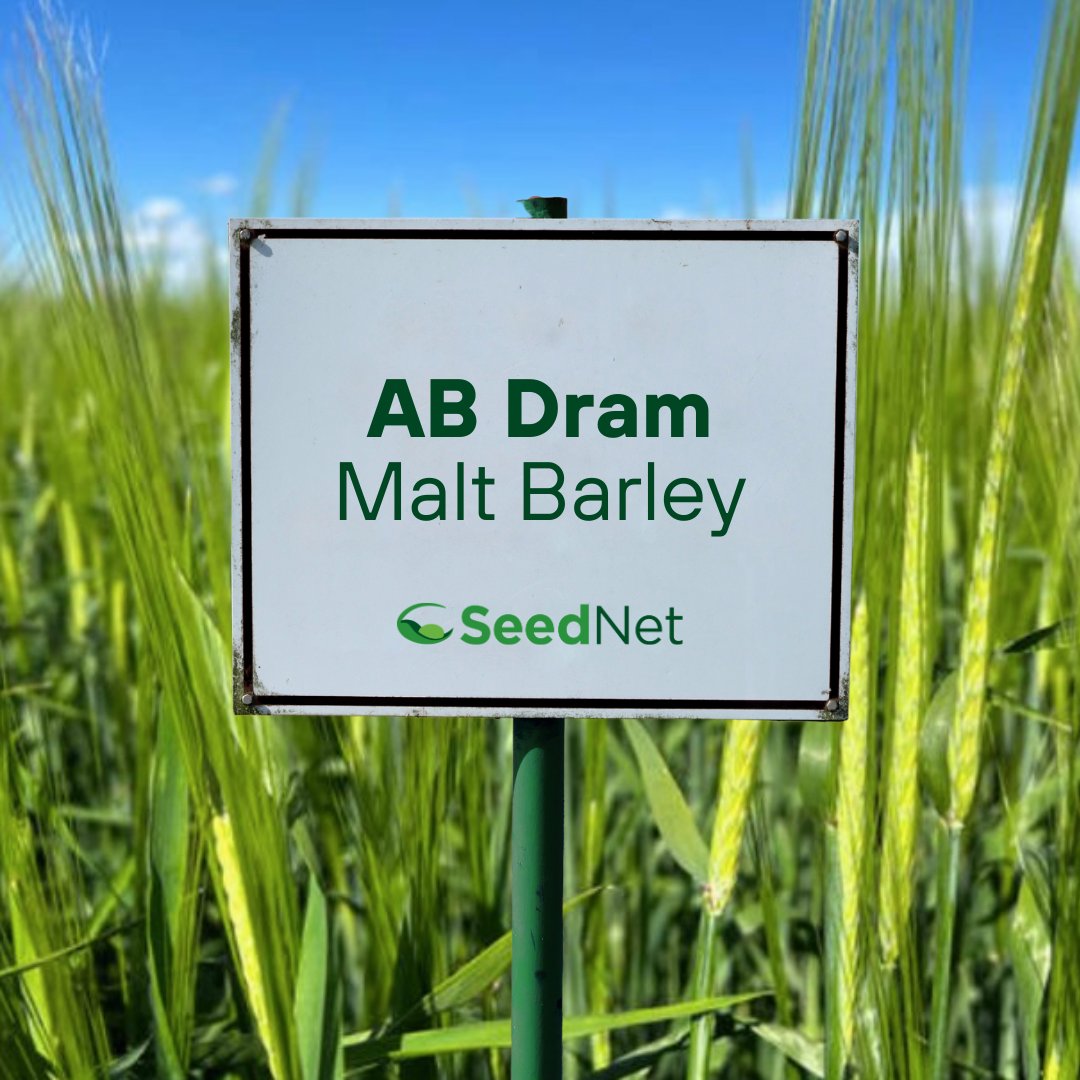 SeedNet Inc. tweet media