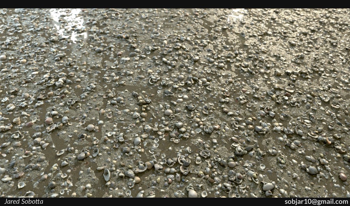 Jared Sobotta tweet media