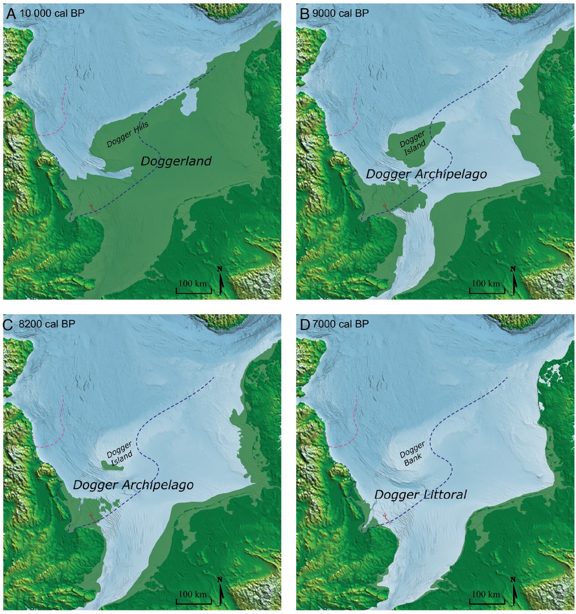 Megalithic12000's tweet photo. 🚨 NEW STUDY (PNAS): A lost world confirmed beneath the North Sea.

Doggerland was thriving thousands of years earlier than believed.

🔹Billions of DNA sequences
🔹252 samples. 41 marine cores
🔹Dry land until 7,000 years ago
🔹Oak, elm, hazel at 16,000 years
🔹Forests 5,000 yrs before Britain

A peer reviewed study just mapped 20,000 years of ecological history beneath the North Sea. 

An entire landmass connecting Britain to Europe. Forests. Rivers. Possibly people. Swallowed by the sea over thousands of years.

They even found a tree species at 7 separate locations that was supposedly extinct from the region for 400,000 years. It was still growing there.

And we're still told nothing significant was lost at the end of the Ice Age?