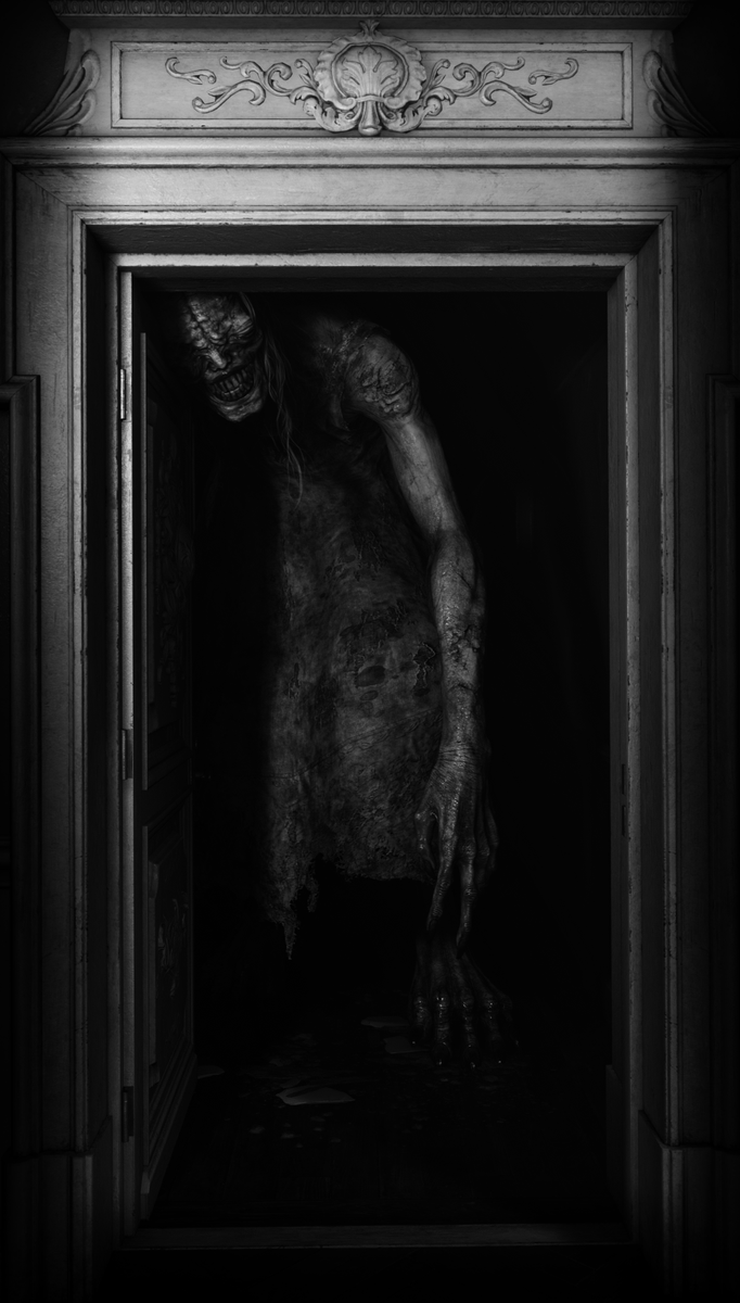 Cuculus 📸 tweet media