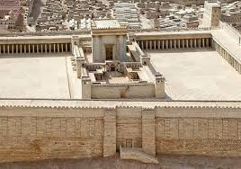 𝕐𝕒𝕜𝕠𝕧𝕠𝕝𝕗 tweet media