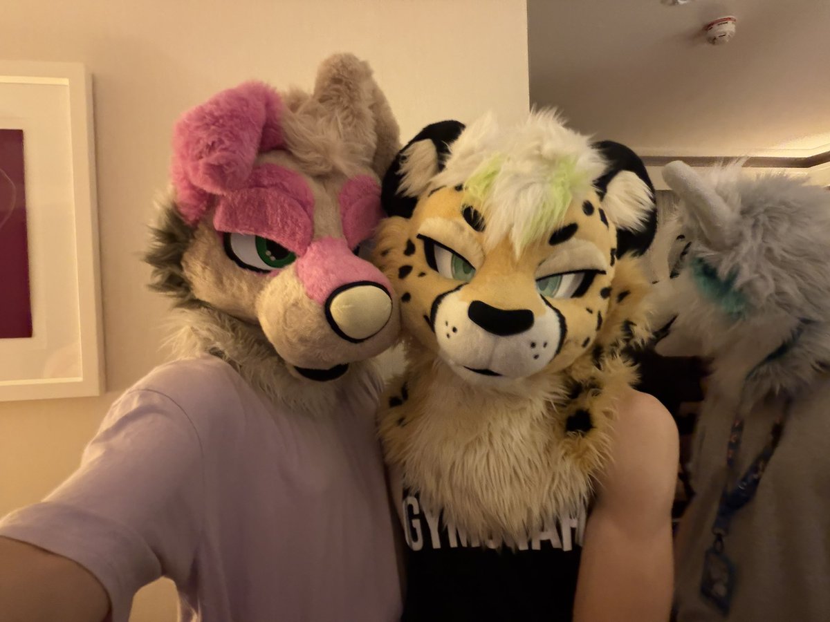 Blushyfox's tweet image. Found that cutie @LeashedVan last #NFC 💖