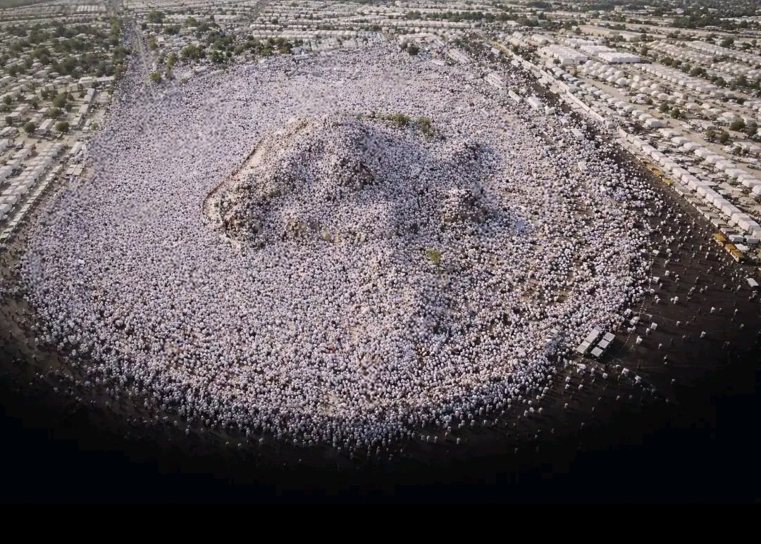 vermerlleey tweet media