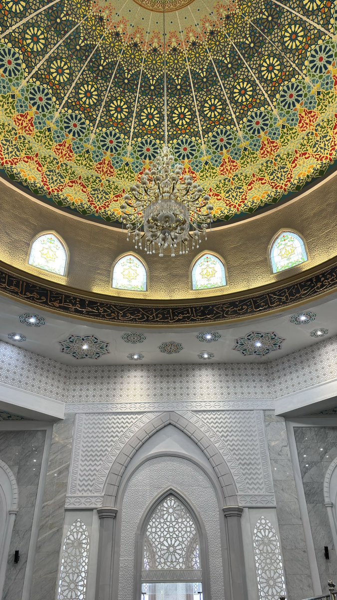 Dawson 🐾 tweet media