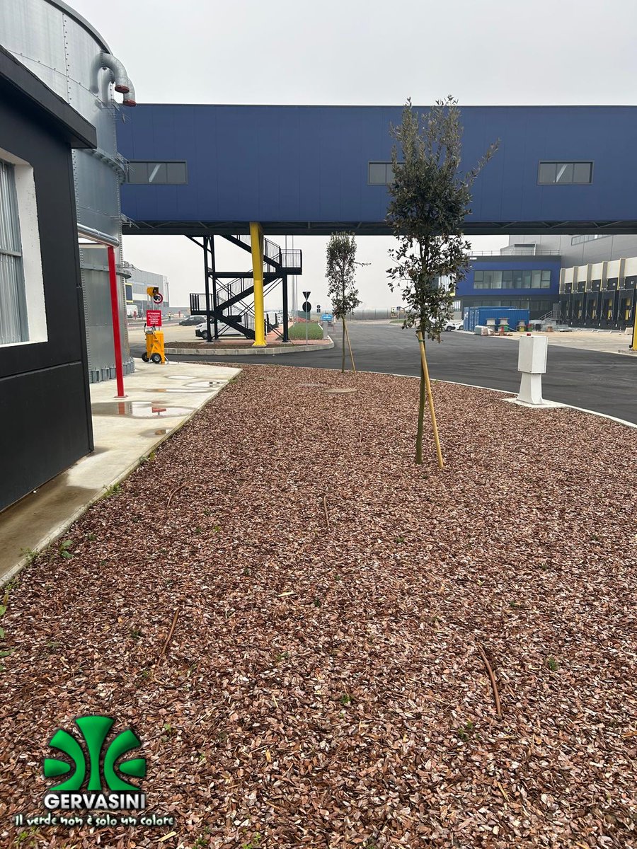 Work in progress, opere a verde Polo Logistico in Trecate (NO), fornitura e messa a dimora nr. 360 alberature, nr. 2.540 arbusti e nr. 14.260 erbacee perenni, realizzazione impianto di irrigazione m² 6.100 (ala gocciolante), semina tappeto erboso m² 19.500, idrosemina m² 2.300.