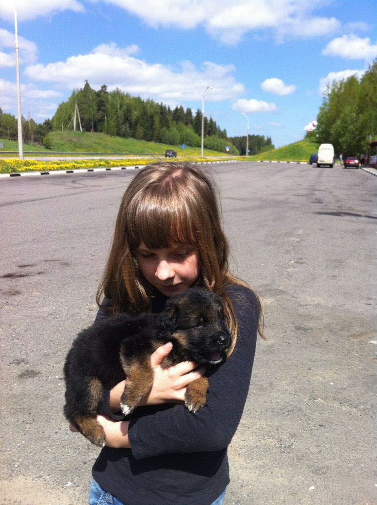 самые модные скандинавские бабушки tweet media