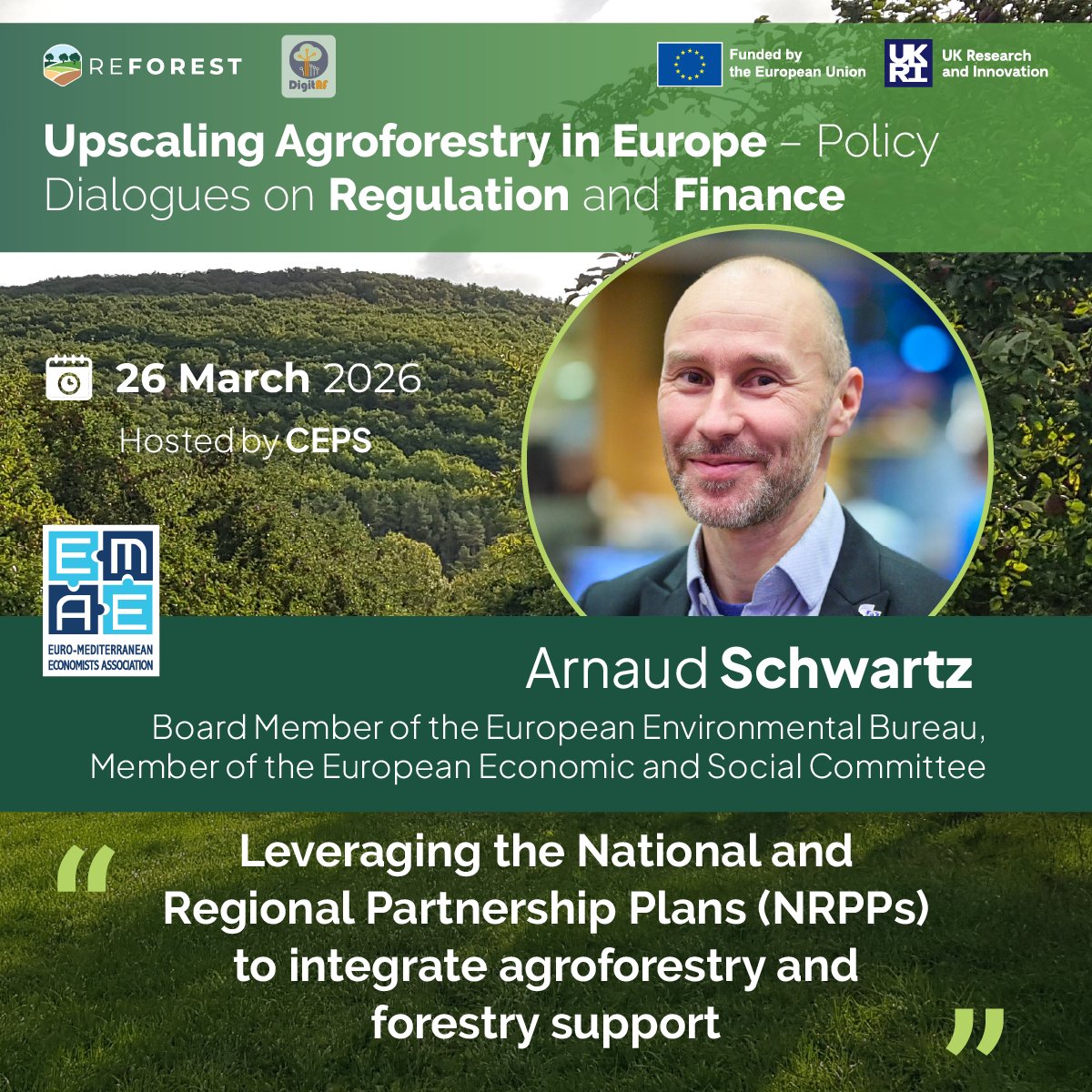 ReForest Project tweet media