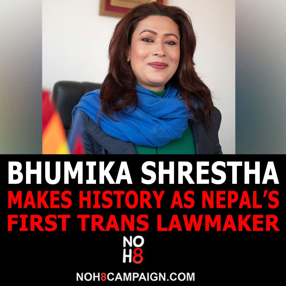 NOH8 Campaign tweet media