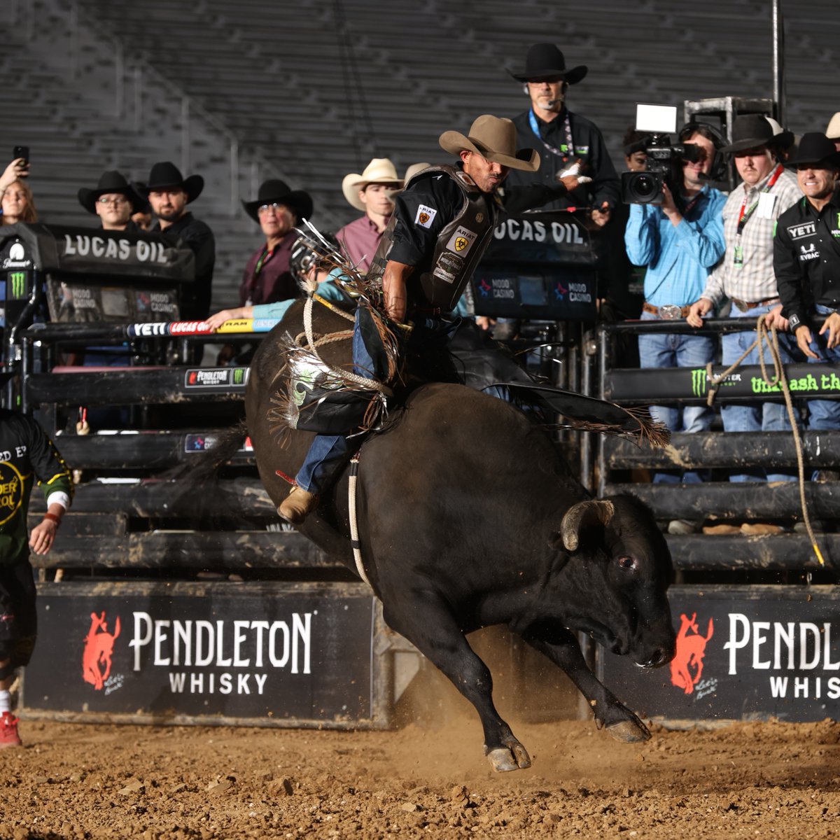 Austin Gamblers tweet media