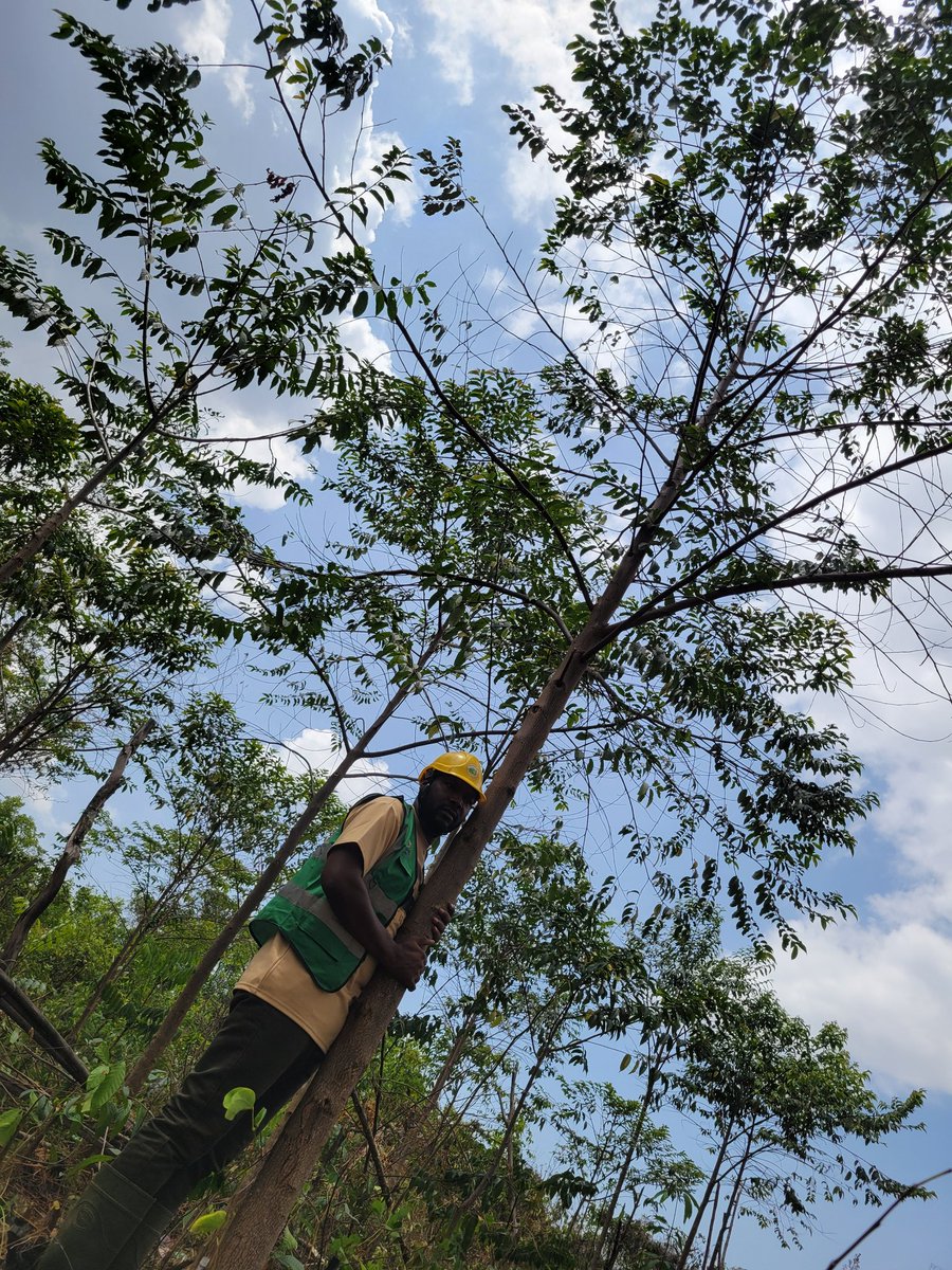 Sunday Geofrey tweet media