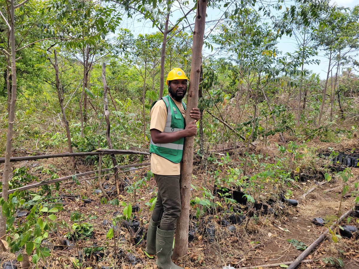 Sunday Geofrey tweet media