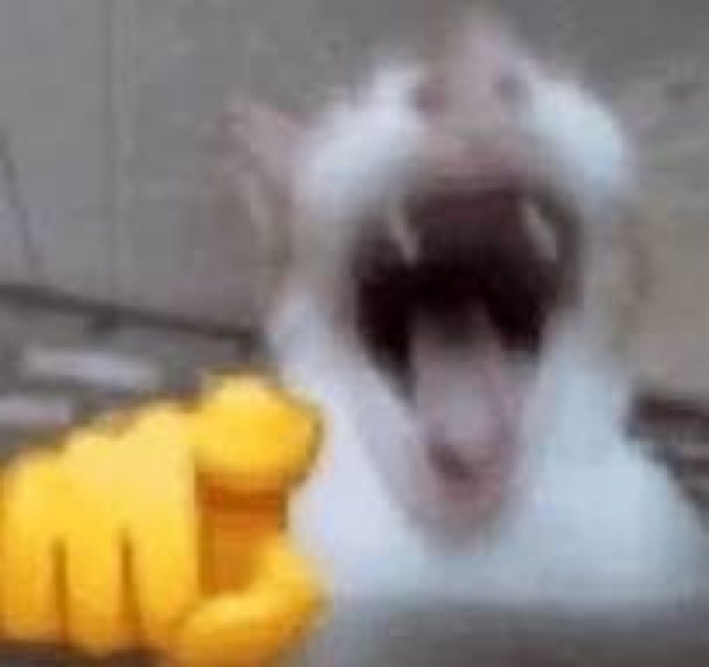 lele🌙 tweet media