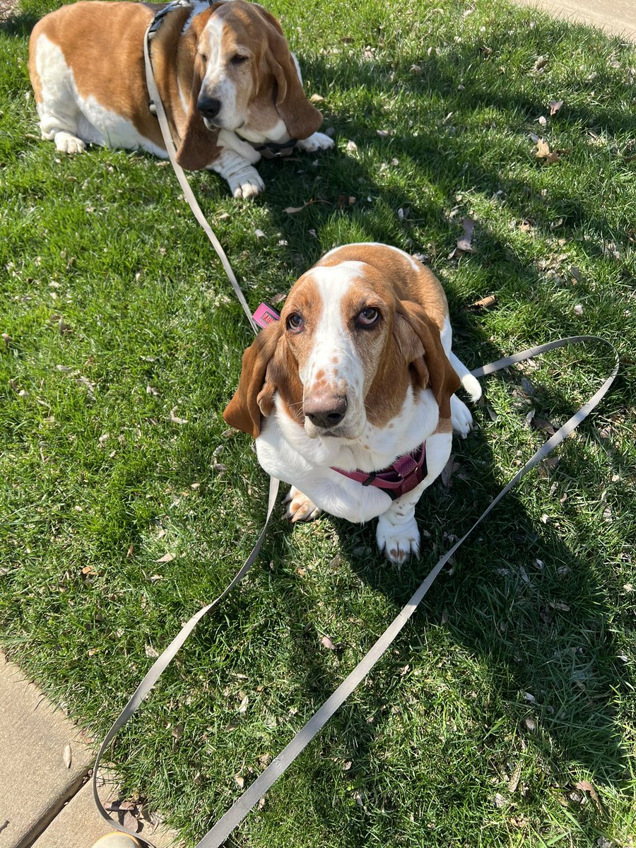 Marla Knott tweet media