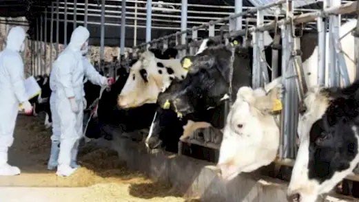 Δημοκρατική Παράταξη (DEPA) tweet media