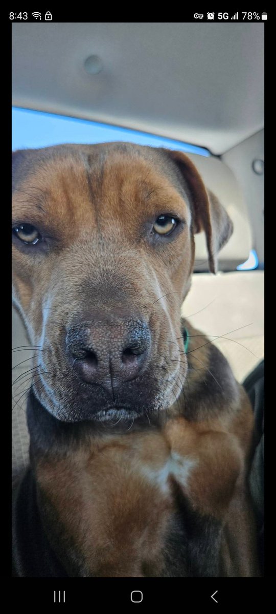 Eric 🇺🇲 tweet media