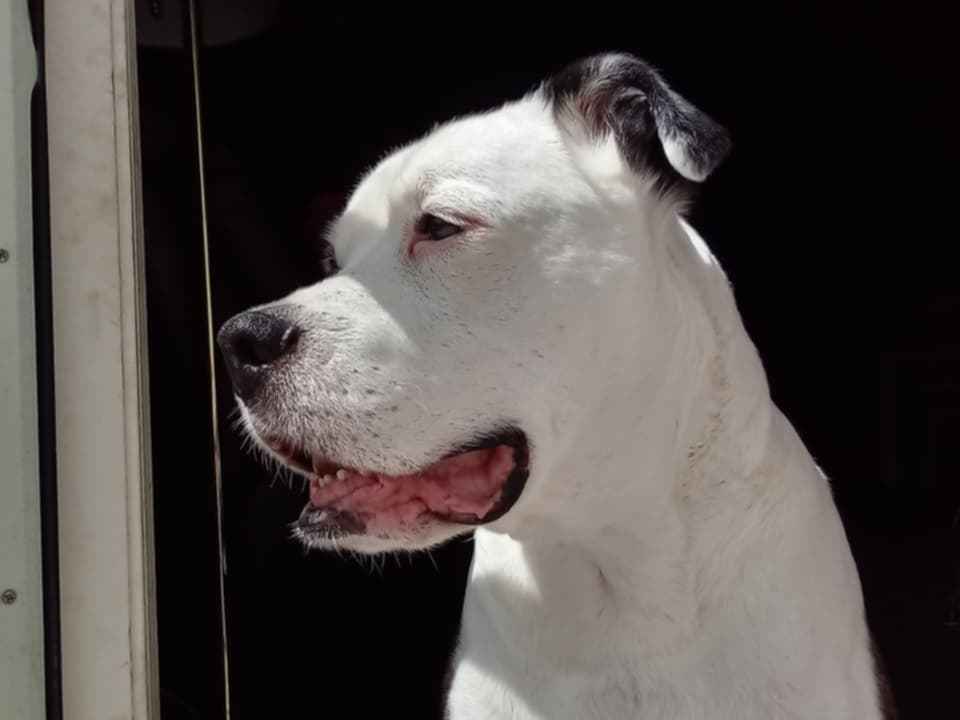 CainStonedAbel tweet media