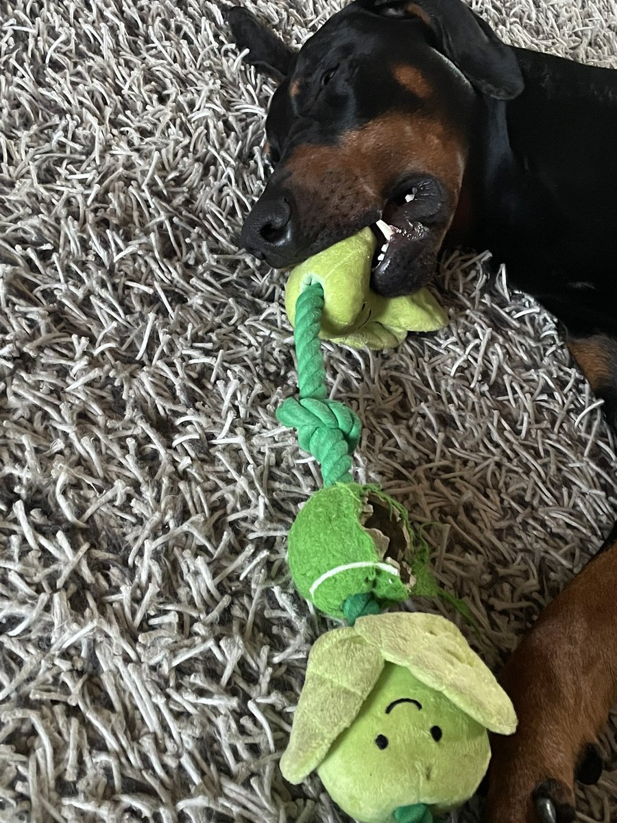 sheilaMol tweet media