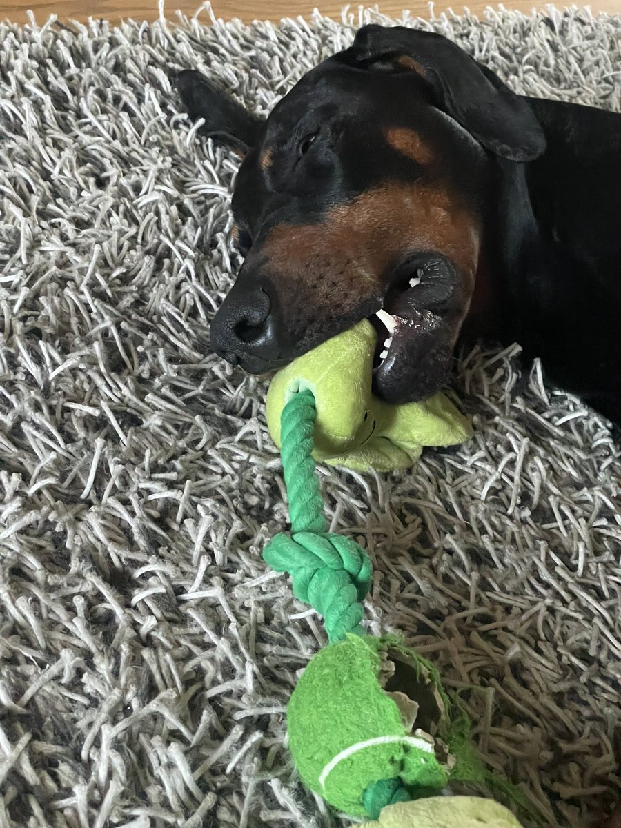 sheilaMol tweet media