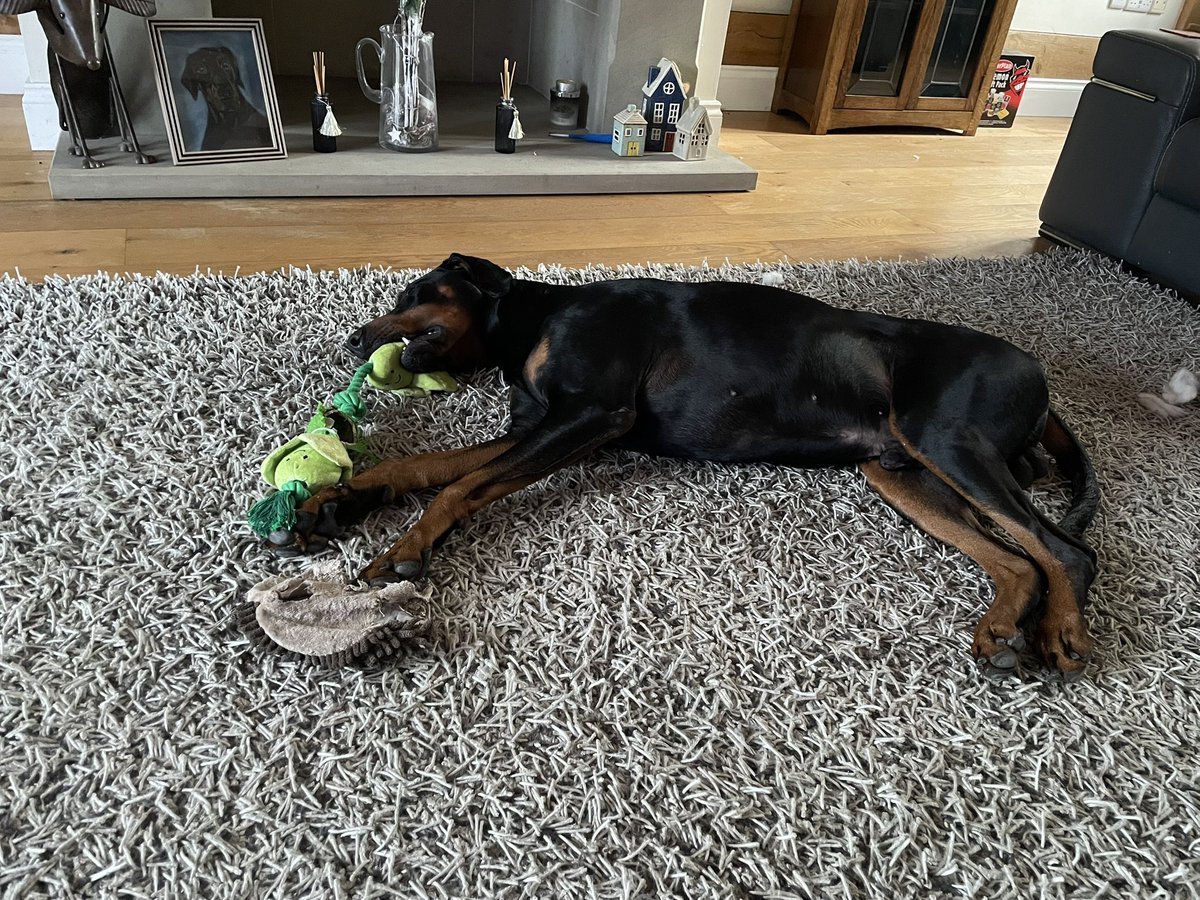 sheilaMol tweet media