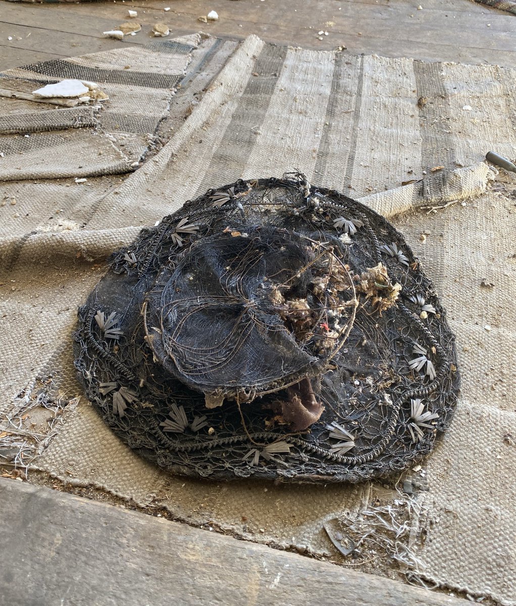 Diary of Abandonment tweet media